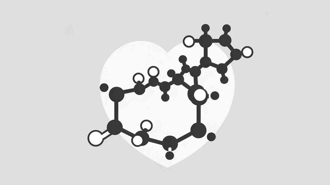 Cholesterol and laboratory results explained